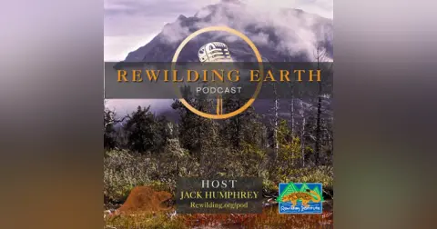 Episode 137: Paul Ehrlich On Saving Nature’s Populations and Ourselves