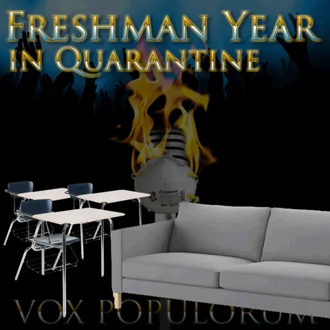 e130. Freshman Year in Quarantine