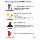 #143 Hypomagnesemia and Hypophosphatemia: 5 Pearls Segment
