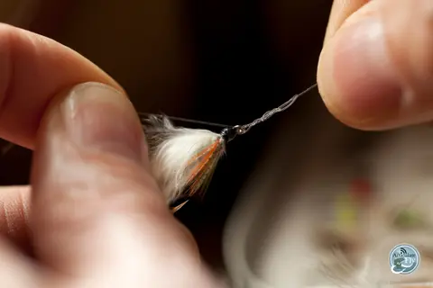 HOW TO FLY FISH: IT'S BETTER TO BE KNOTTY THAN NICE (PART II)