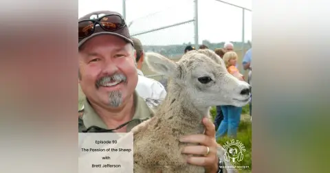 EP 90: The Passion of the Sheep with Brett Jefferson