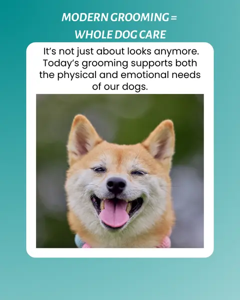 Modern Pet Grooming: Prioritizing Pets' Physical and Emotional Well-being