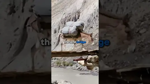 Afghani's WAR Tactics*