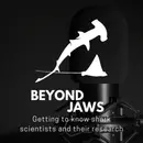 All The Sharks Netflix: Aliah Banchik Shares Behind-the-Scenes Stories from the Shark Game Show