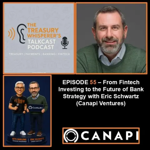 Episode 55 - From Fintech Investing to the Future of Bank Strategy with Eric Schwartz (Canapi Ventures)