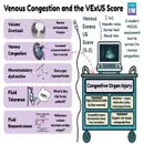 #193 Venous Congestion & VEXUS Interview with Dr. Ross Prager