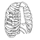 Rib Fractures