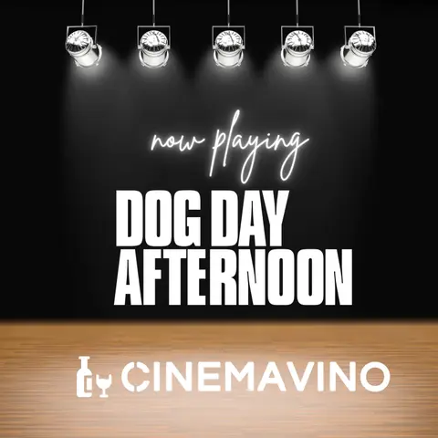Dog Day Afternoon is an All-Timer | Review