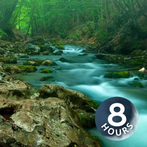 Forest Creek Water Sounds for Stress Relief, Relaxation or Sleep 8 Hours