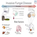 #179 Invasive Fungal Disease: 5 Pearls Segment
