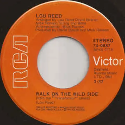 54–Walk on the Wild Side
