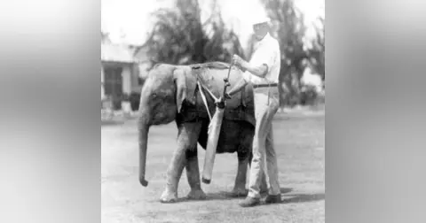 Dr. Narco Longo | Old World Florida: Lost History, Mystery, Elephants, & Oranges