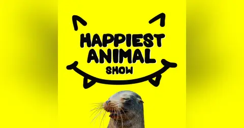 Animals Named After Other Animals (with naturalist Morgan Wittmer)
