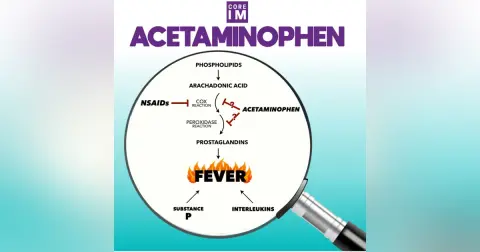 #30 Acetaminophen/Fevers Pathophysiology and Patient Outcomes: Mind the Gap Segment