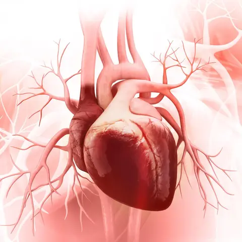 Right Ventricular Heart Failure