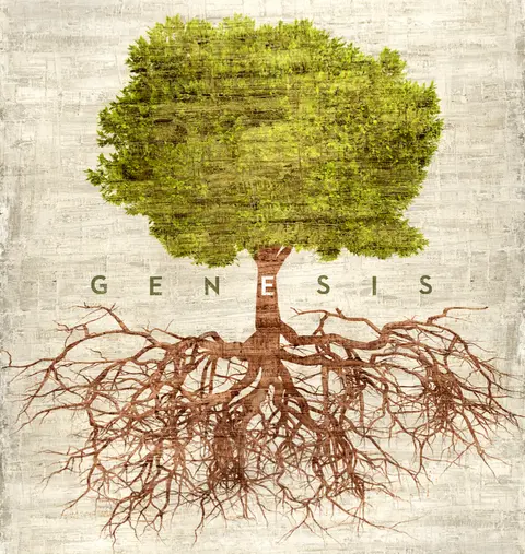 THE DOCTRINAL VALUE OF THE FIRST CHAPTERS OF GENESIS