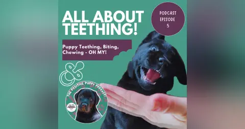 Episode 5: All About Teething!
