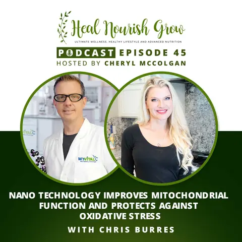 Nano Technology Improves Mitochondrial Function and Protects Against Oxidative Stress