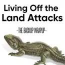 Living Off the Land Attack: Hackers Using Your Own Tools Against You
