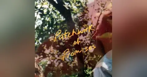 Patchwork of Promises