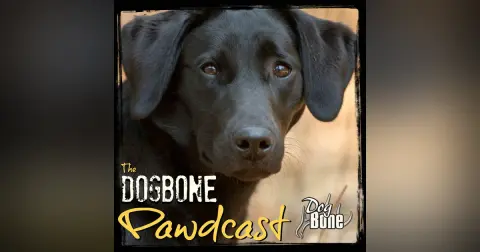 Do You Like Your Dog? Conversation w/ Heath Hyatt of the Houndsman XP Podcast | Ep: #223