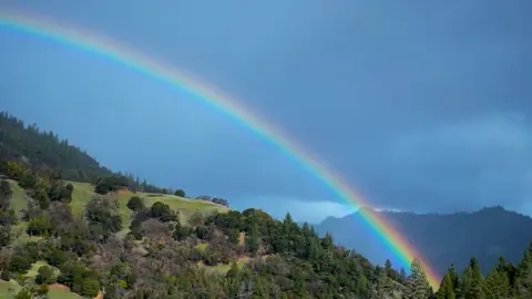 rainbows and unicorns
