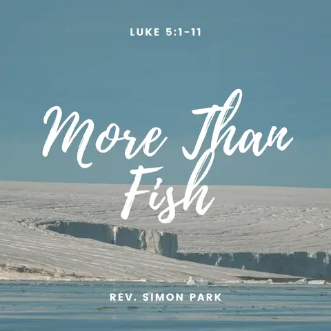 More Than Fish