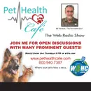 Why kibble can harm pets: moisture, digestion, lifespan