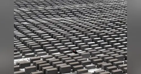 THE HOLOCAUST