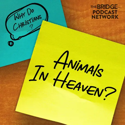 Why Do Christians Think Dogs Go To Heaven?