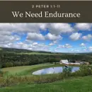 We Need Endurance