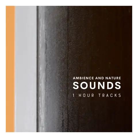 Ambience: Rain on a shed (1 hour)