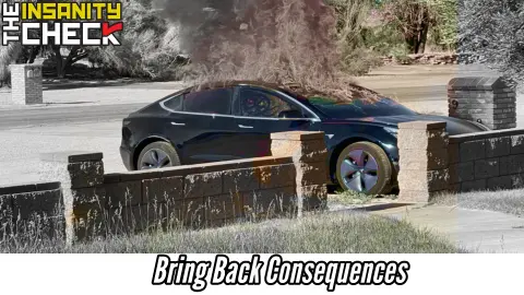 Bring Back Consequences - Insanity Check