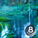 Rain Sounds for Sleeping + Water Sounds | White Noise 8 Hours