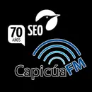 SEO es de pájaros y POSICIONAMIENTO es de sitios web