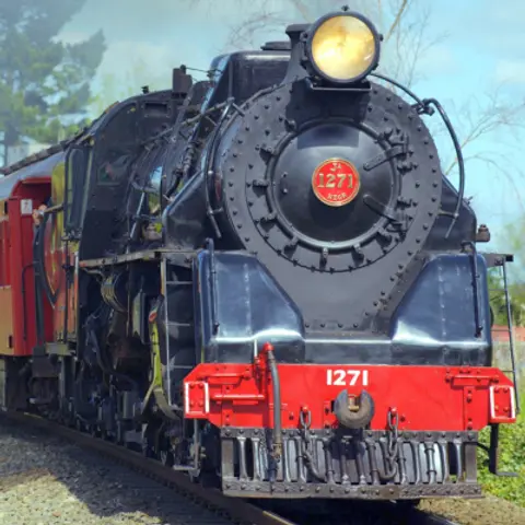 Trains