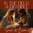 Journey Into the Heart of The Christmas Story