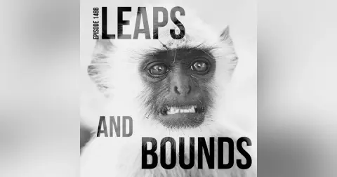 148B-Monkey King: Leaps and Bounds