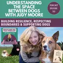 Understanding The Space Between Dogs with Judy Moore