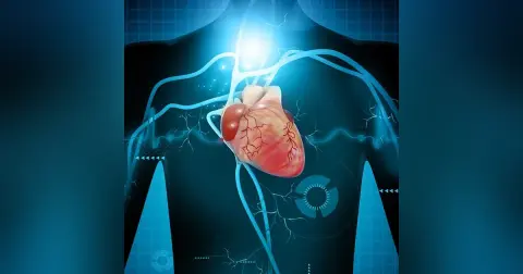 Ceryx Medical: company uses bioelectronics to coordinate the heart and lungs