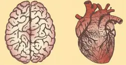 Infective Endocarditis-Associated Stroke