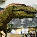 Live From The Dinosaur Museum