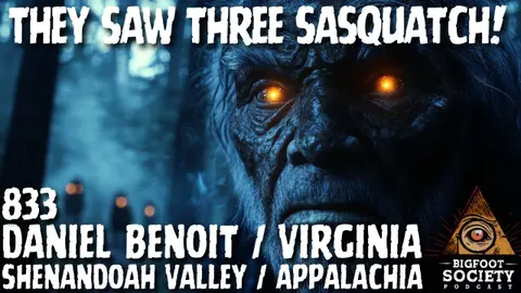 We Saw Them Watching Us: A Night in Sasquatch Valley