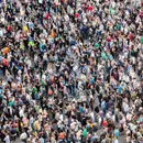 Flocking together: the physics of sheep herding and pedestrian flows