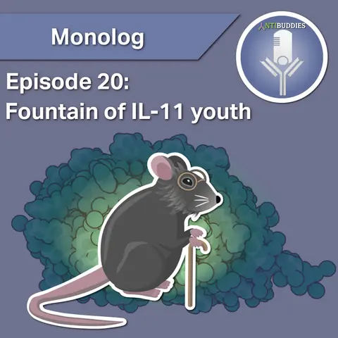 Monolog 20 - The Fountain of IL-11 Youth