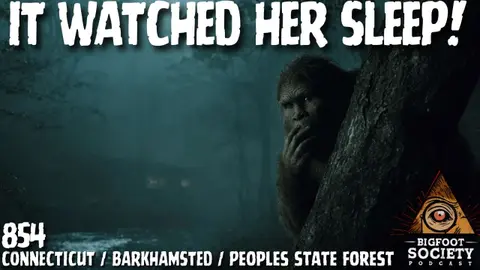 Bigfoot Terror in Connecticut — Slaps, Screams, and Eyes in the Dark