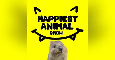 Funny Animal Names (with underwater photographer Patrick Webster)