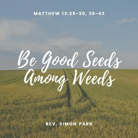 Be Good Seeds Among Weeds