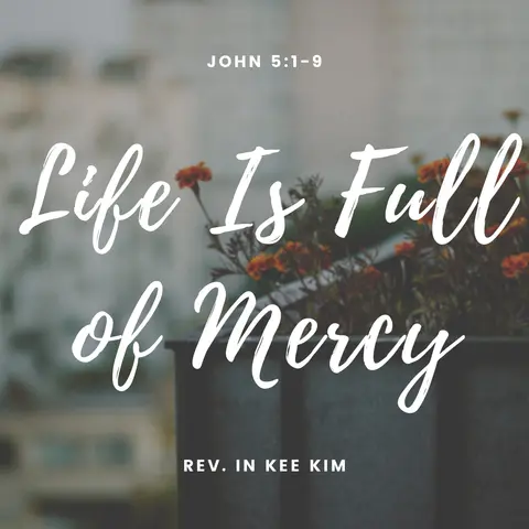 Life Is Full of Mercy