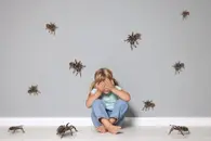 Why Are We Afraid of Spiders?